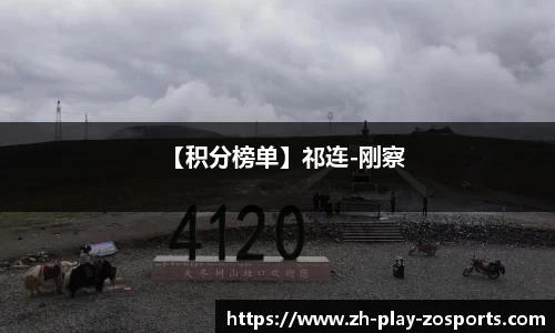 中欧体育APP